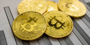 Bitwise дал прогноз по курсу биткоина в 2024 году